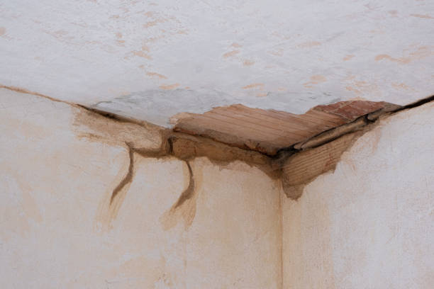 Best Ceiling water damage repair  in Archdale, NC