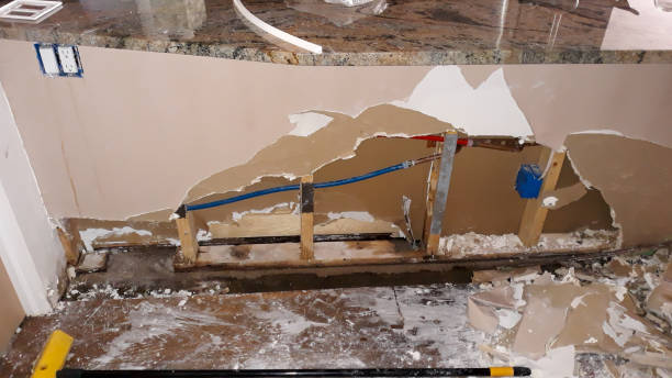 Best Water damage cleanup near me  in Archdale, NC