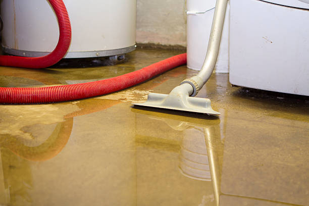 Best Water damage restoration process  in Archdale, NC