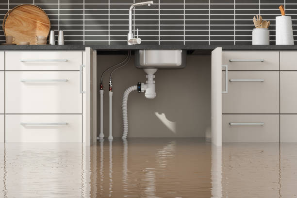 Best Carpet water damage restoration  in Archdale, NC