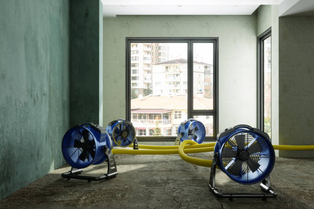 Best Professional water damage repair  in Archdale, NC